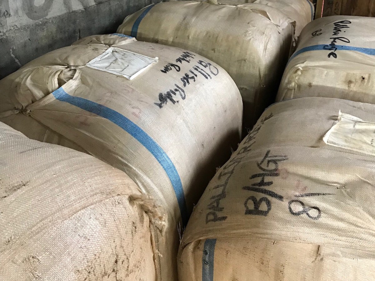 Open day at Palliser&nbsp;Ridge