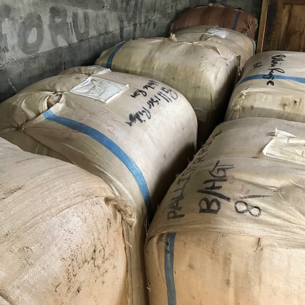 Open day at Palliser&nbsp;Ridge